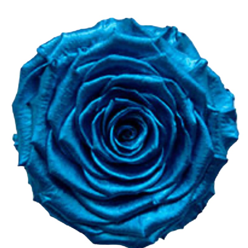 Preserved roses metallic blue Roseamor