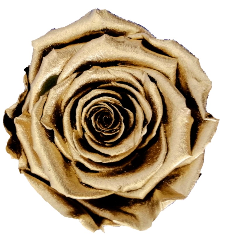 Preserved roses metallic gold Roseamor