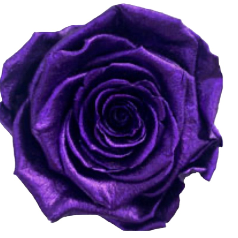 Preserved roses metallic lavender Roseamor