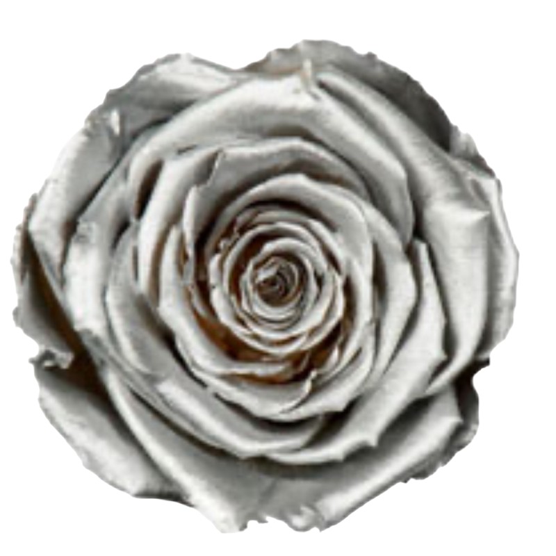 Preserved roses metallic silver Roseamor
