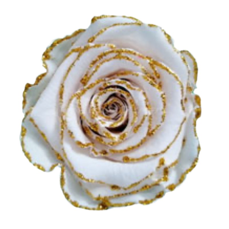 Preserved glitter roses white/gold Roseamor