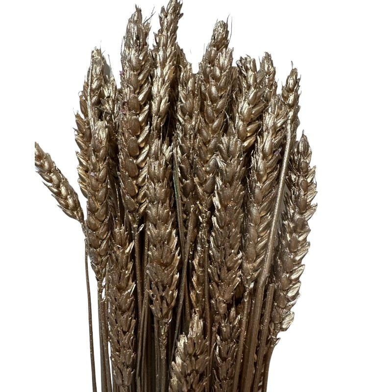 Dry Wheat gold 1 bunch