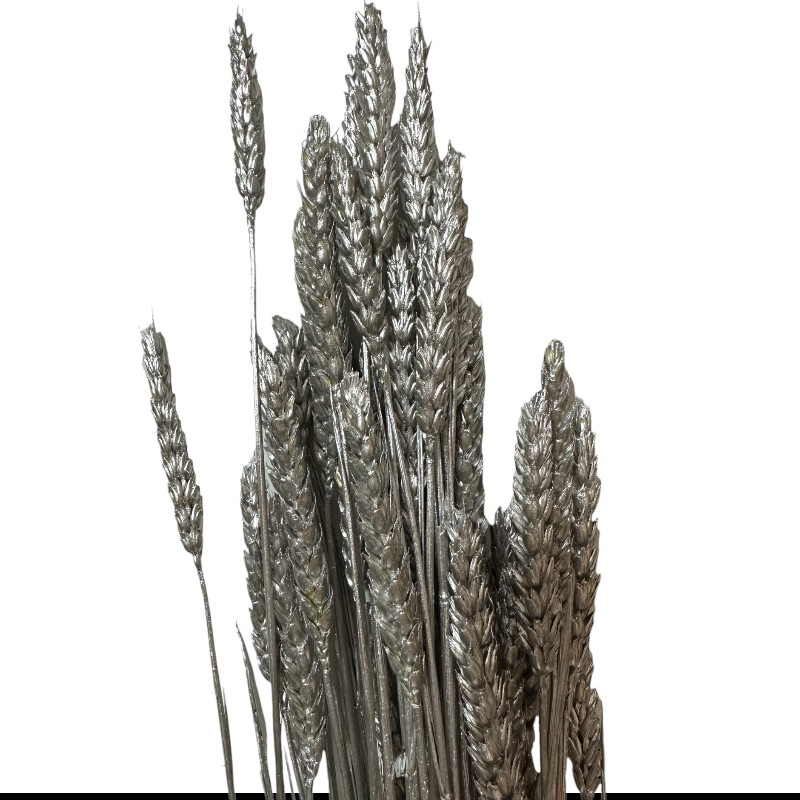 Dry Wheat silver 1 bunch