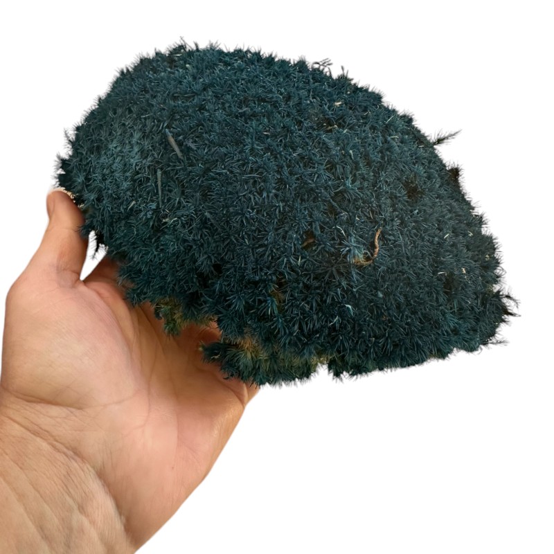 Preserved Moss ball blue