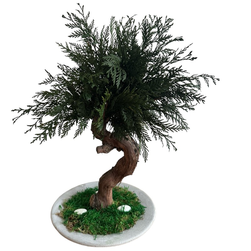Preserved green Thuya bonsai