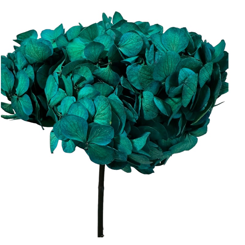 Preserved Hydrangea turquoise 1 stem
