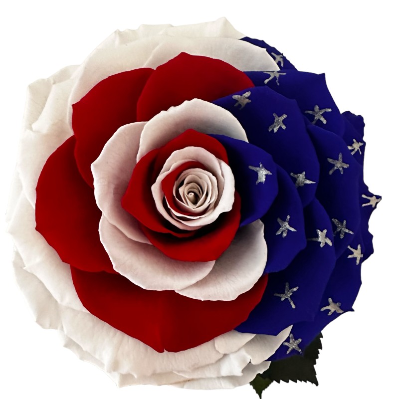 Preserved rose USA flag