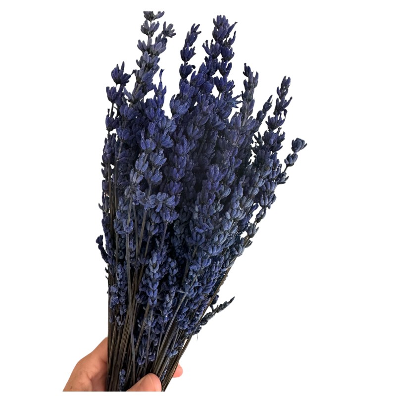 Preserved dark blue lavender