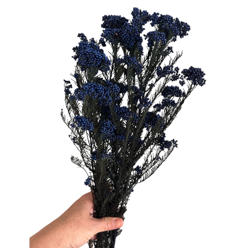 Preserved dark blue Rice flowers